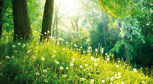 Ailwaldhof Angebote Kennenlernwoche Frühling/