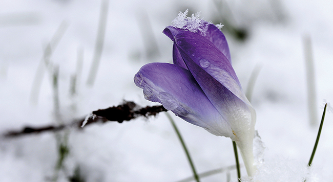 Ailwaldhof Angebote Kennenlernwoche Winterland