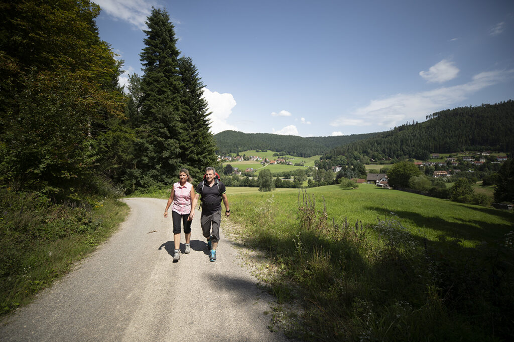 Ailwaldhof Wandern im Naturpark Schwarzwald