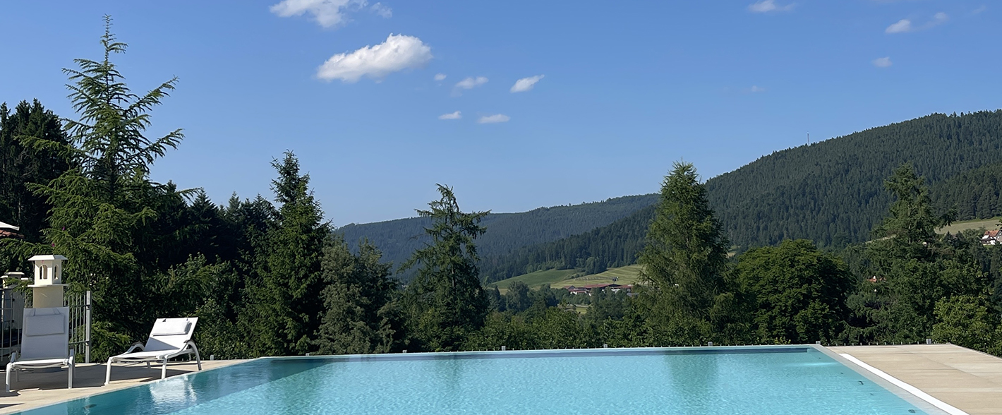 Ailwaldhof Außenpool